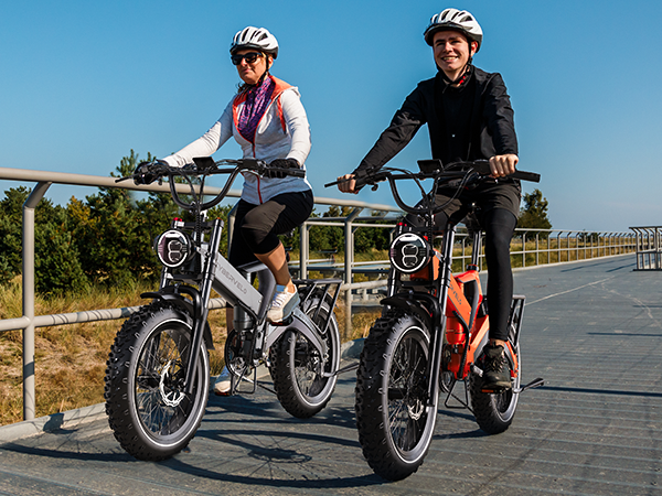 Fat Tire vs. Standard Electric Bikes: Which One Should You Buy